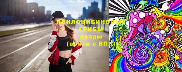 стаф Баксан