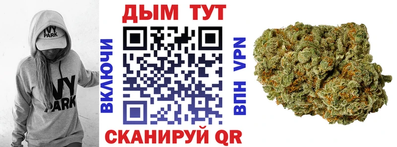 Конопля сатива  где купить   Вельск 